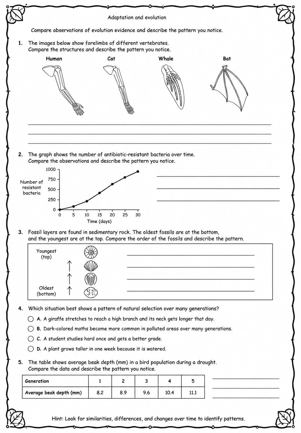 Compare observations of evolution evidence and describe the pattern you notice — free printable Middle School Science worksheet