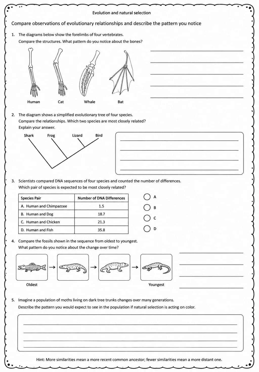 Compare observations of evolutionary relationships and describe the pattern you notice — free printable Middle School Science worksheet