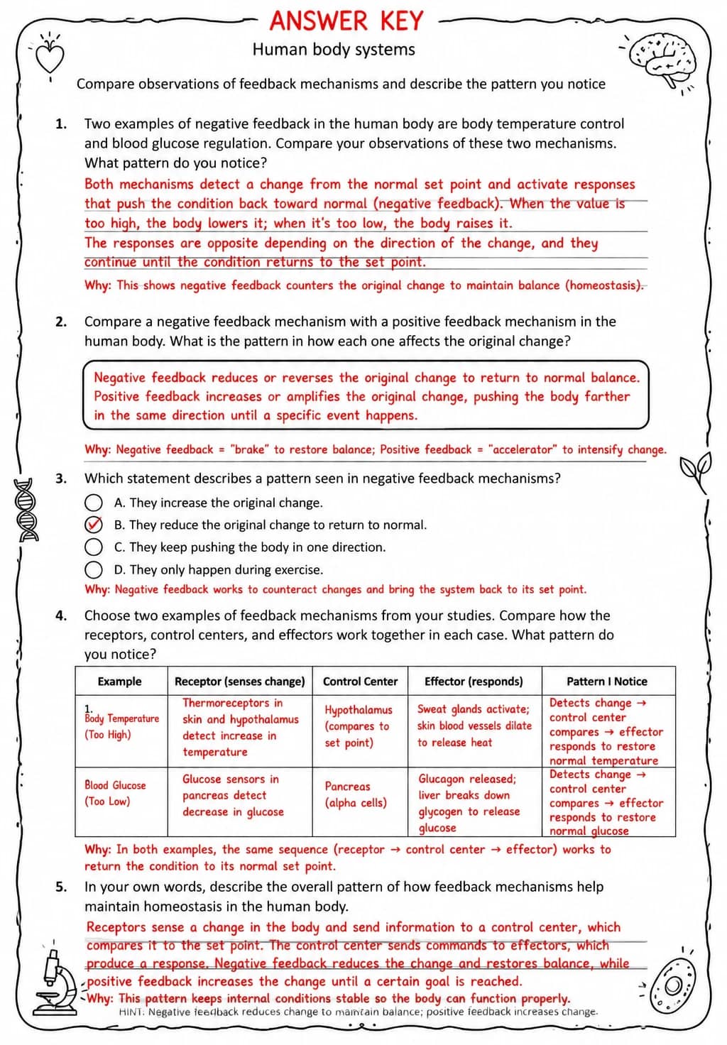 Answer key for Compare observations of feedback mechanisms and describe the pattern you notice — free printable Science worksheet