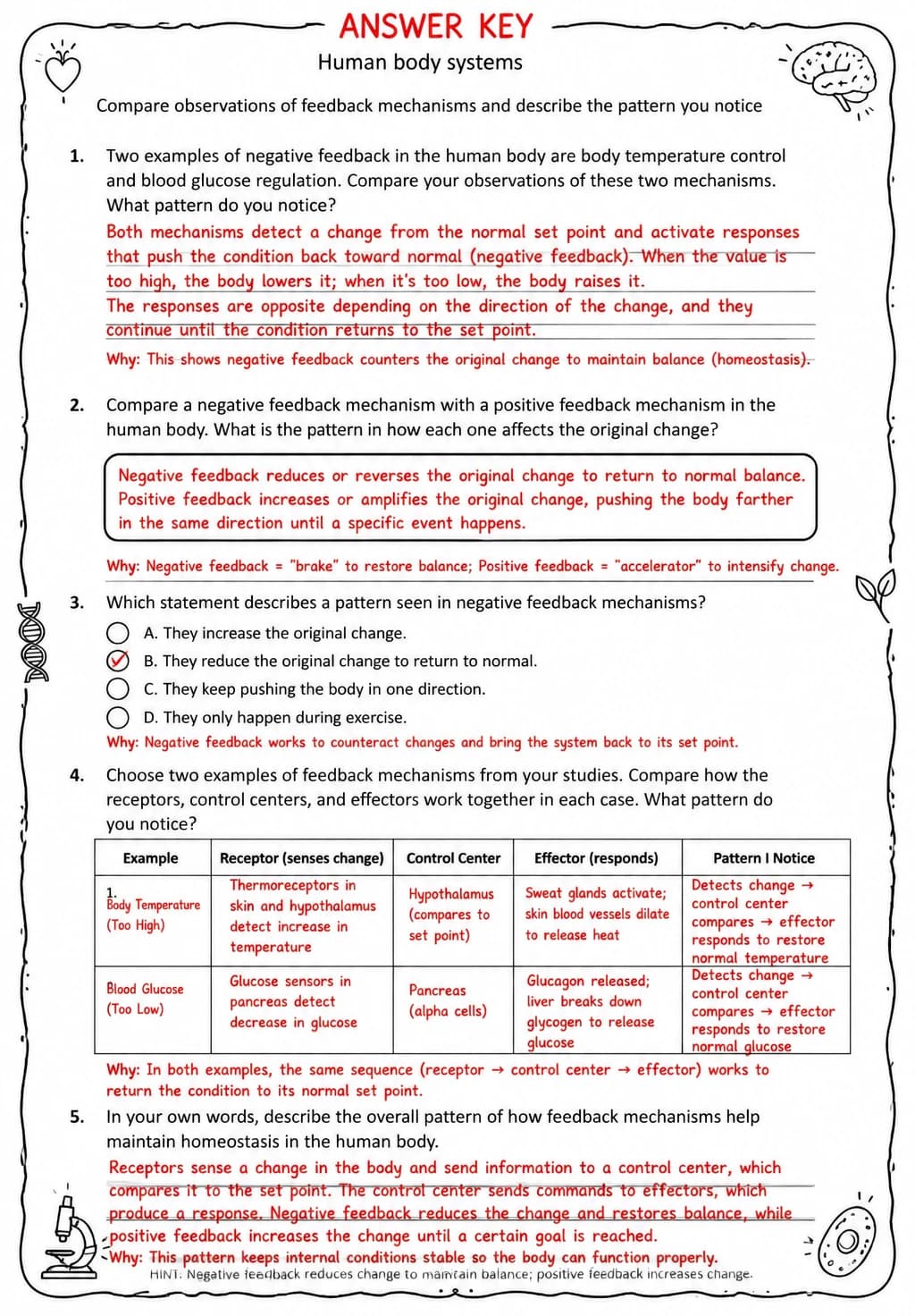 Answer key for Compare observations of feedback mechanisms and describe the pattern you notice — free printable Science worksheet