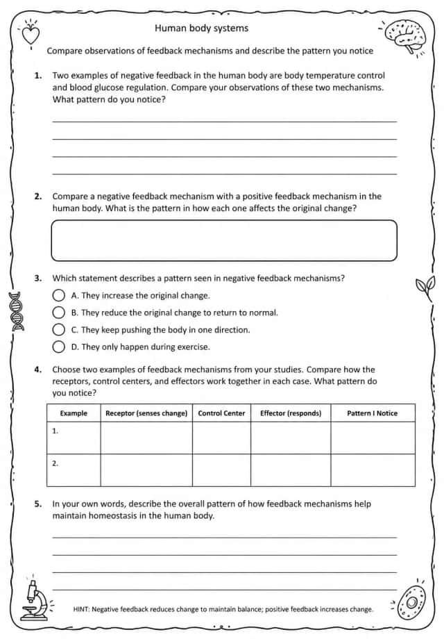 Compare observations of feedback mechanisms and describe the pattern you notice