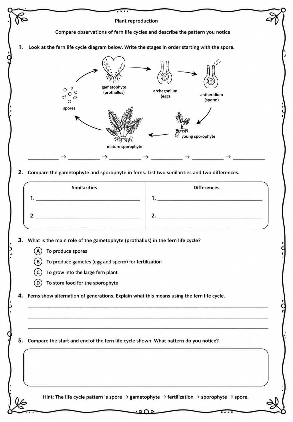 Compare observations of fern life cycles and describe the pattern you notice — free printable Middle School Science worksheet