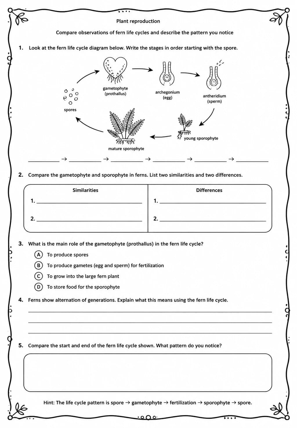 Compare observations of fern life cycles and describe the pattern you notice — free printable Middle School Science worksheet