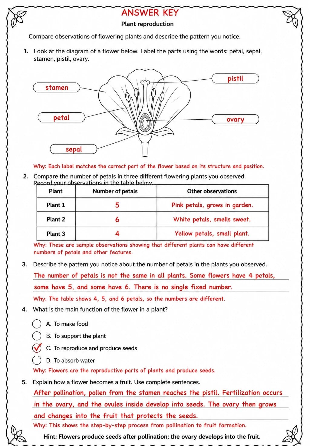 Answer key for Compare observations of flowering plants and describe the pattern you notice — free printable Science worksheet