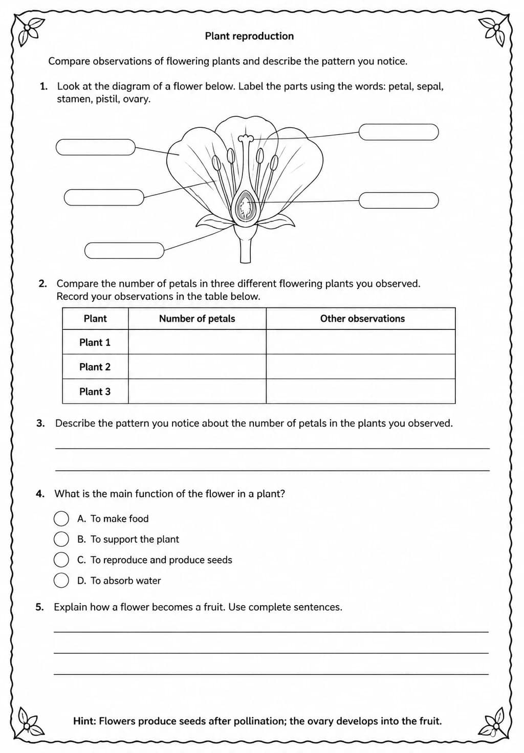 Compare observations of flowering plants and describe the pattern you notice — free printable Middle School Science worksheet