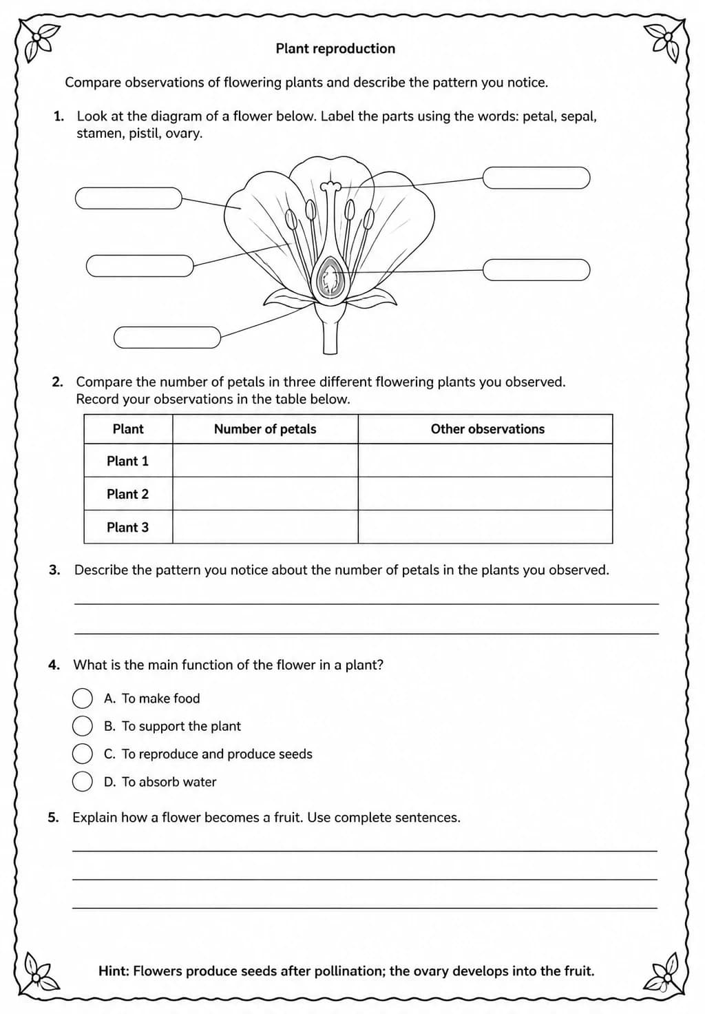 Compare observations of flowering plants and describe the pattern you notice — free printable Middle School Science worksheet