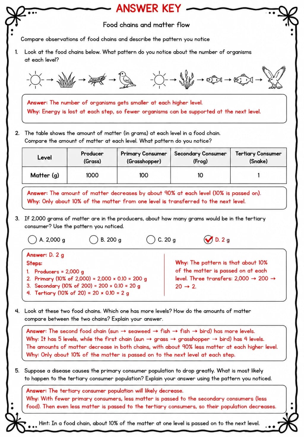 Answer key for Compare observations of food chains and describe the pattern you notice — free printable Science worksheet