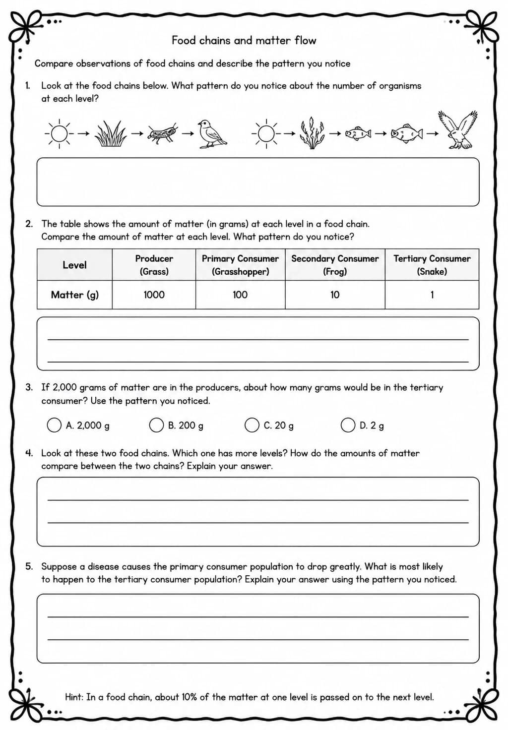 Compare observations of food chains and describe the pattern you notice — free printable Grade 5 Science worksheet