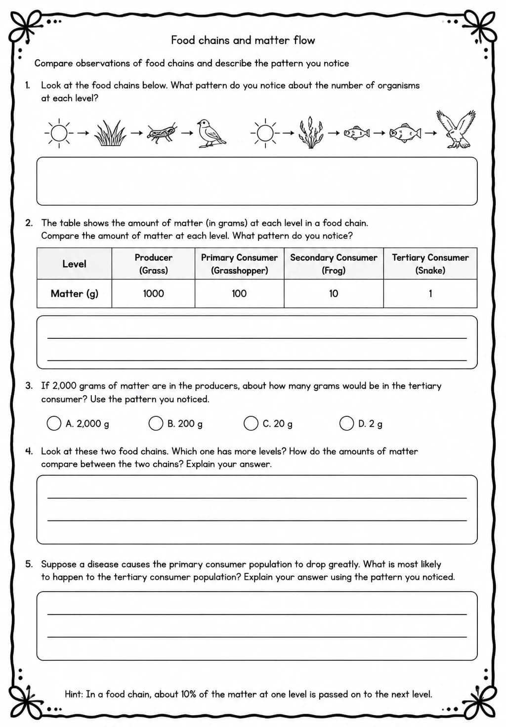 Compare observations of food chains and describe the pattern you notice — free printable Grade 5 Science worksheet