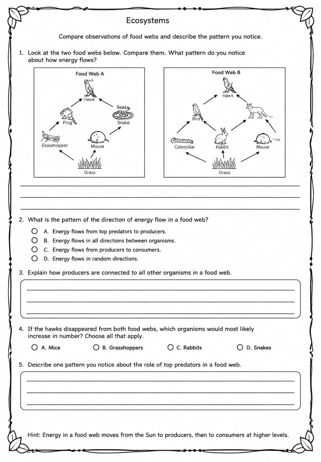 Compare observations of food webs and describe the pattern you notice — free printable Middle School Science worksheet