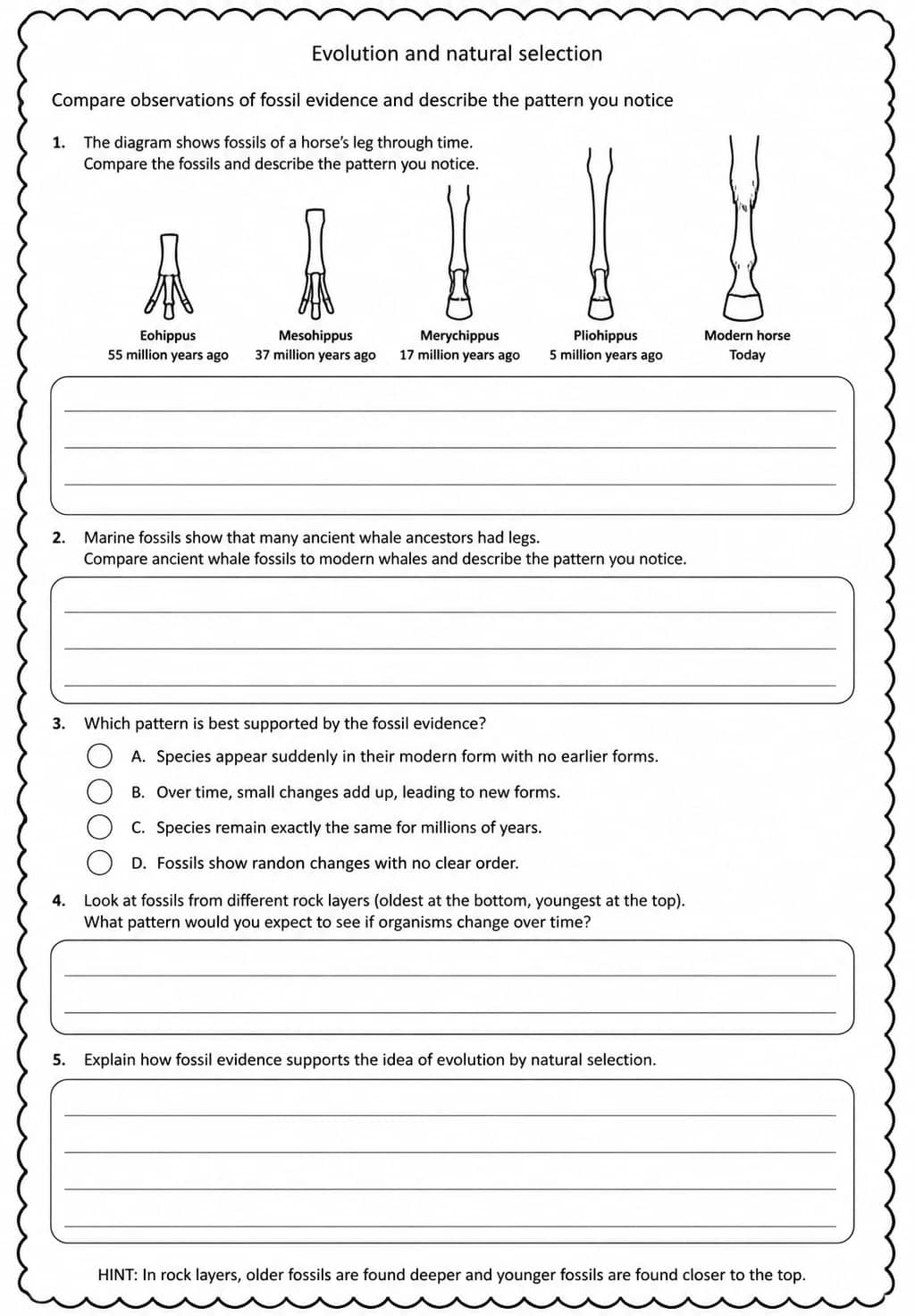 Compare observations of fossil evidence and describe the pattern you notice — free printable Middle School Science worksheet