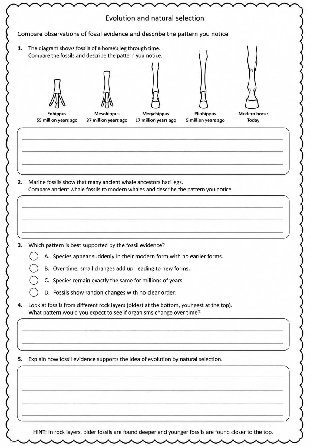 Compare observations of fossil evidence and describe the pattern you notice — free printable Middle School Science worksheet