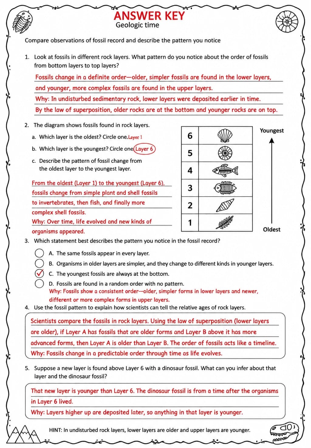 Answer key for Compare observations of fossil record and describe the pattern you notice — free printable Science worksheet