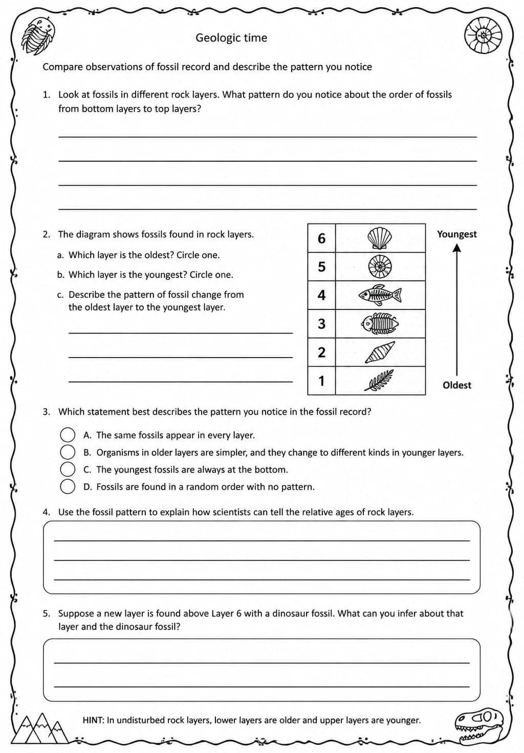 Compare observations of fossil record and describe the pattern you notice — free printable Middle School Science worksheet