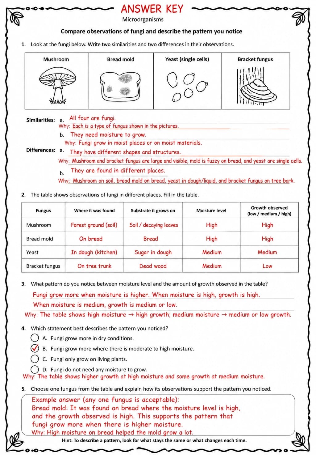 Answer key for Compare observations of fungi and describe the pattern you notice — free printable Science worksheet