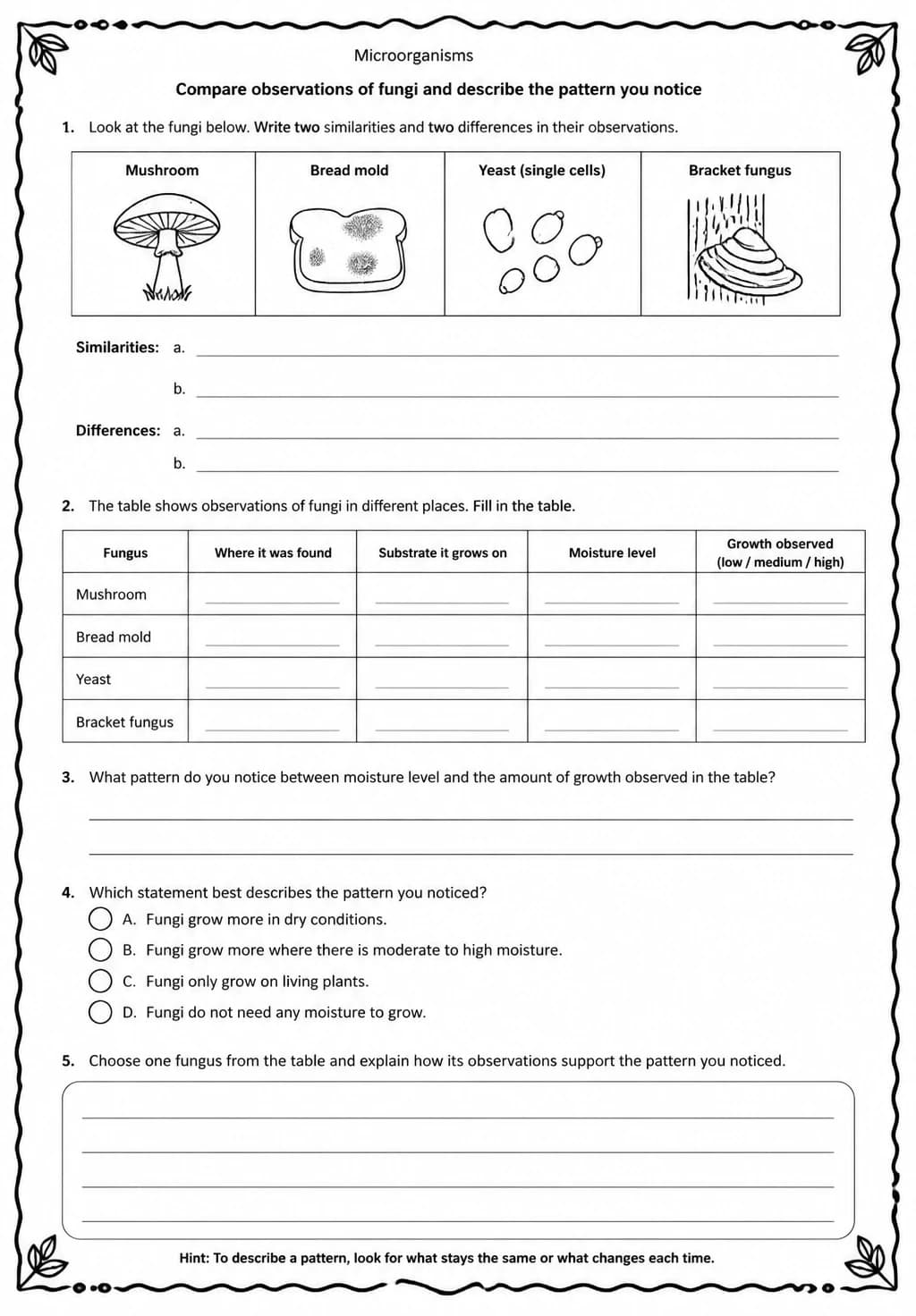 Compare observations of fungi and describe the pattern you notice — free printable Middle School Science worksheet