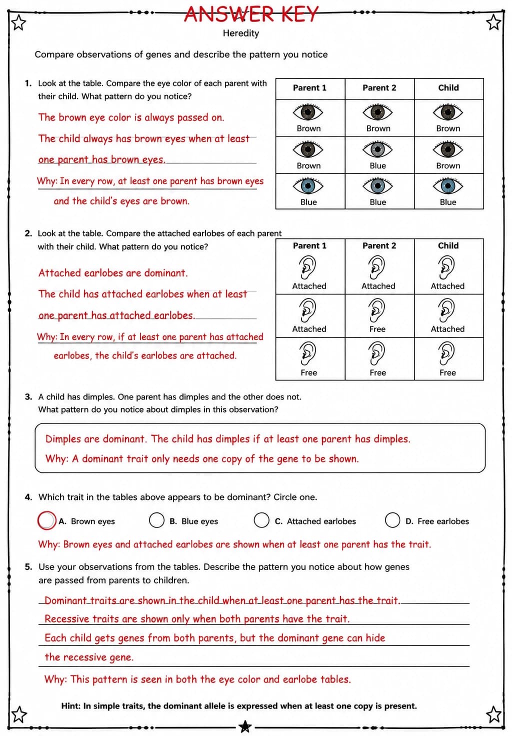 Answer key for Compare observations of genes and describe the pattern you notice — free printable Science worksheet