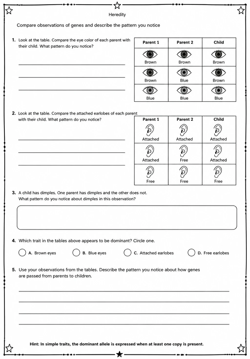 Compare observations of genes and describe the pattern you notice — free printable Middle School Science worksheet