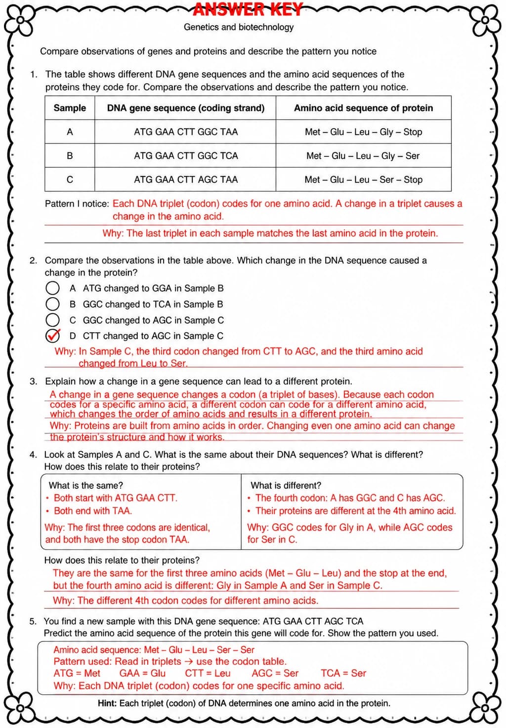 Answer key for Compare observations of genes and proteins and describe the pattern you notice — free printable Science worksheet