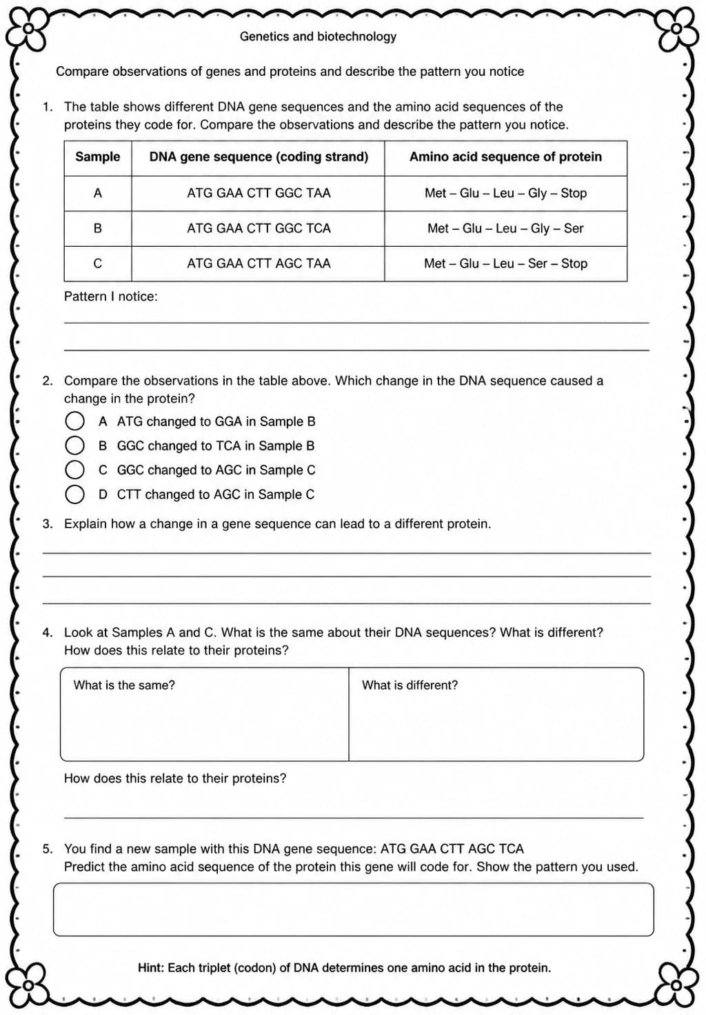 Compare observations of genes and proteins and describe the pattern you notice — free printable Middle School Science worksheet
