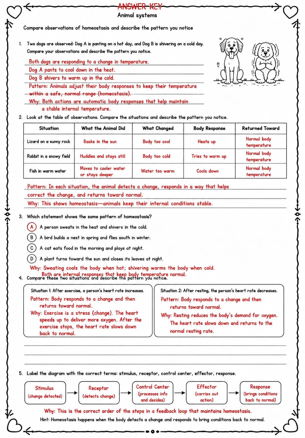 Answer key for Compare observations of homeostasis and describe the pattern you notice — free printable Science worksheet