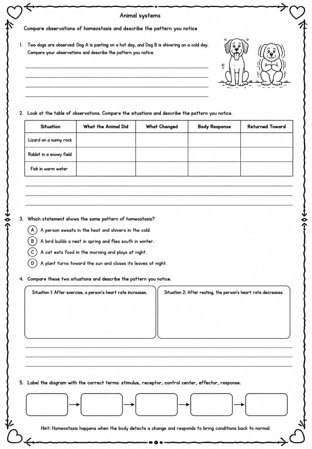Compare observations of homeostasis and describe the pattern you notice — free printable Middle School Science worksheet
