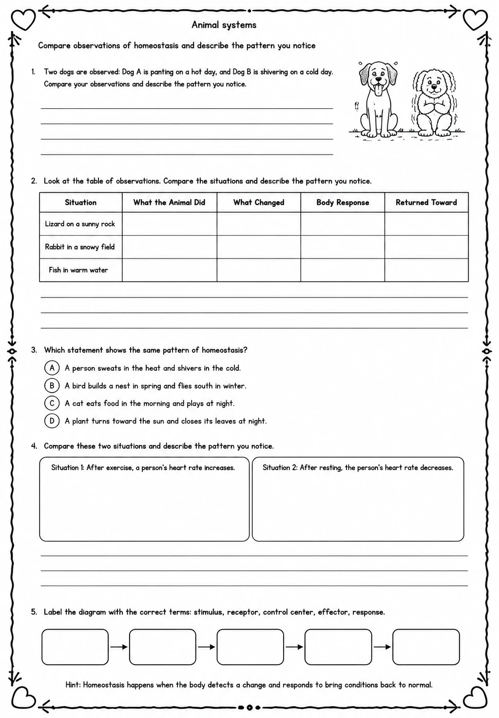 Compare observations of homeostasis and describe the pattern you notice — free printable Middle School Science worksheet