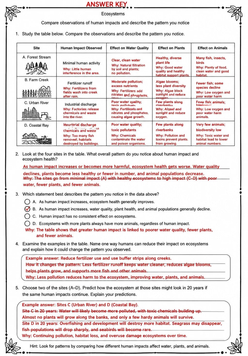 Answer key for Compare observations of human impacts and describe the pattern you notice — free printable Science worksheet