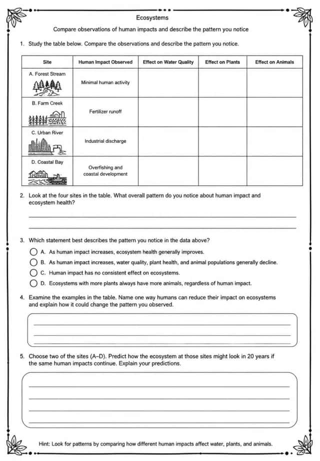 Compare observations of human impacts and describe the pattern you notice