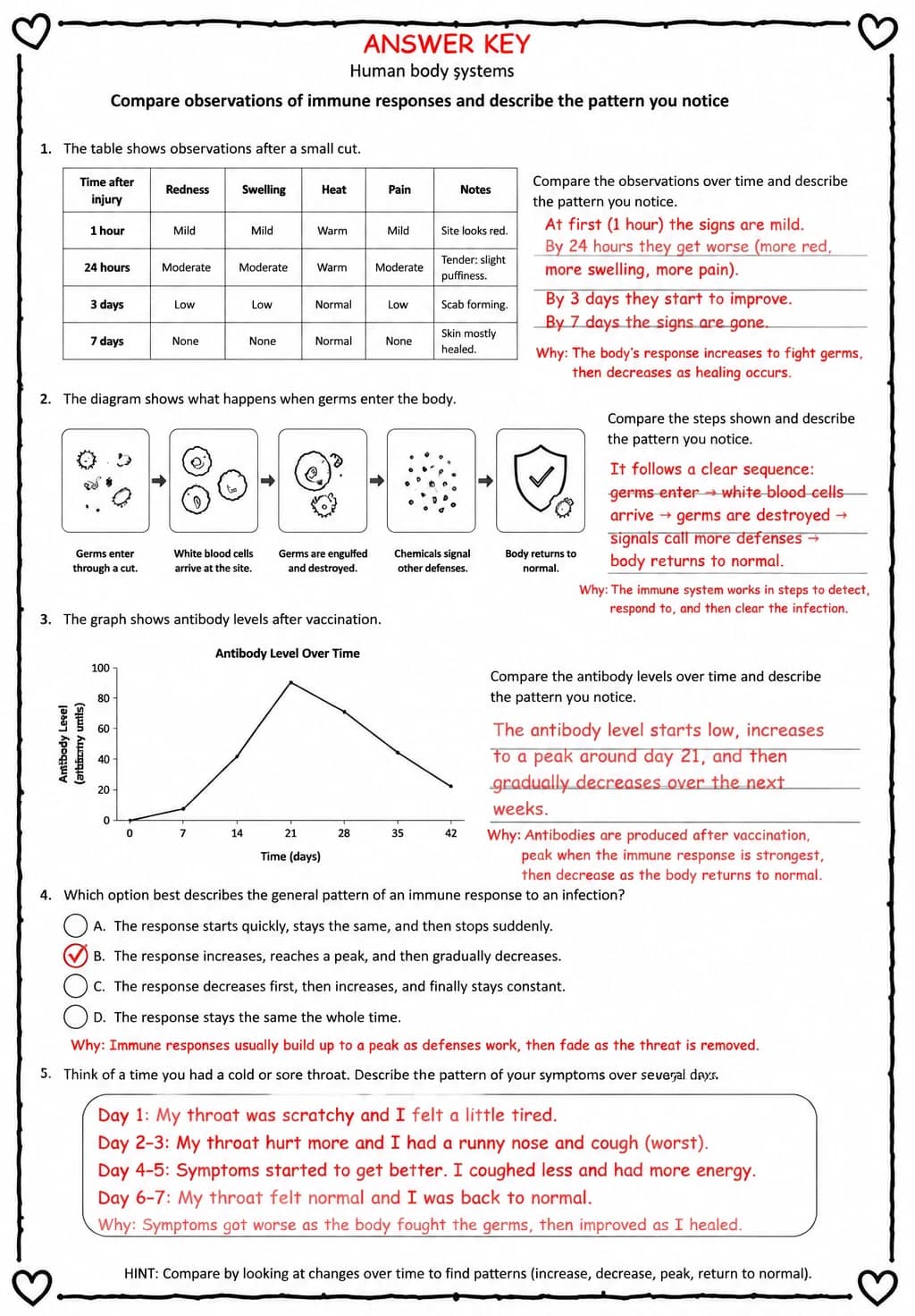 Answer key for Compare observations of immune responses and describe the pattern you notice — free printable Science worksheet