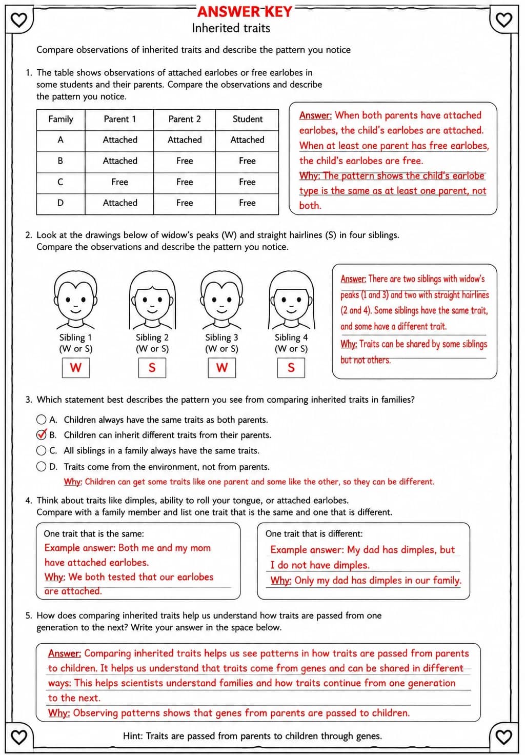 Answer key for Compare observations of inherited traits and describe the pattern you notice — free printable Science worksheet