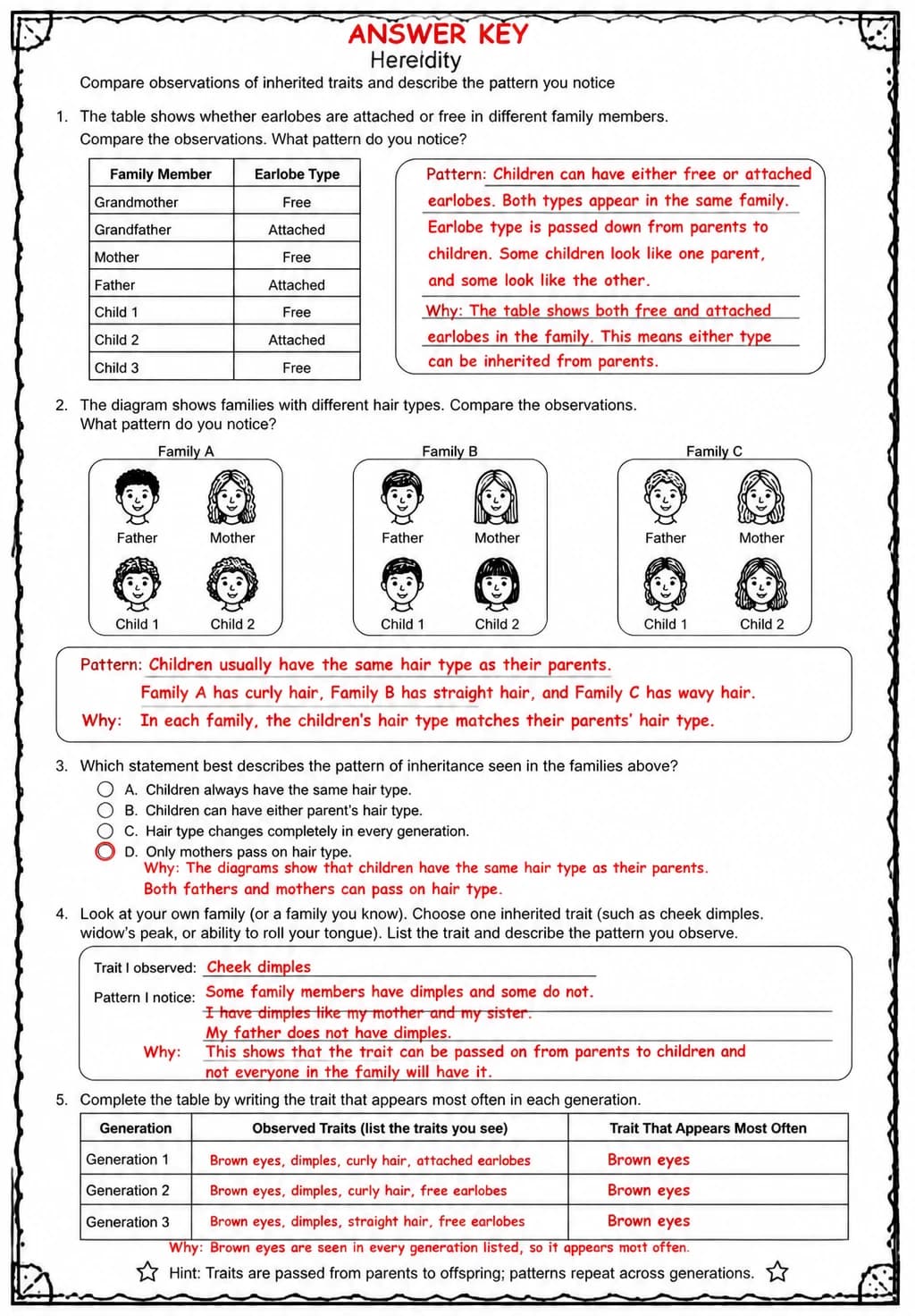 Answer key for Compare observations of inherited traits and describe the pattern you notice — free printable Science worksheet
