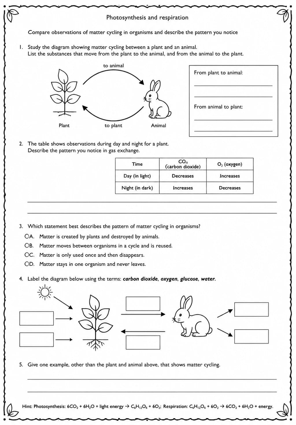 Compare observations of matter cycling in organisms and describe the pattern you notice — free printable Middle School Science worksheet