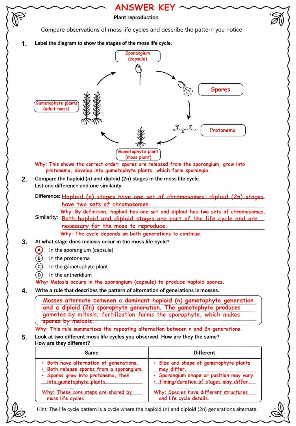 Answer key for Compare observations of moss life cycles and describe the pattern you notice — free printable Science worksheet