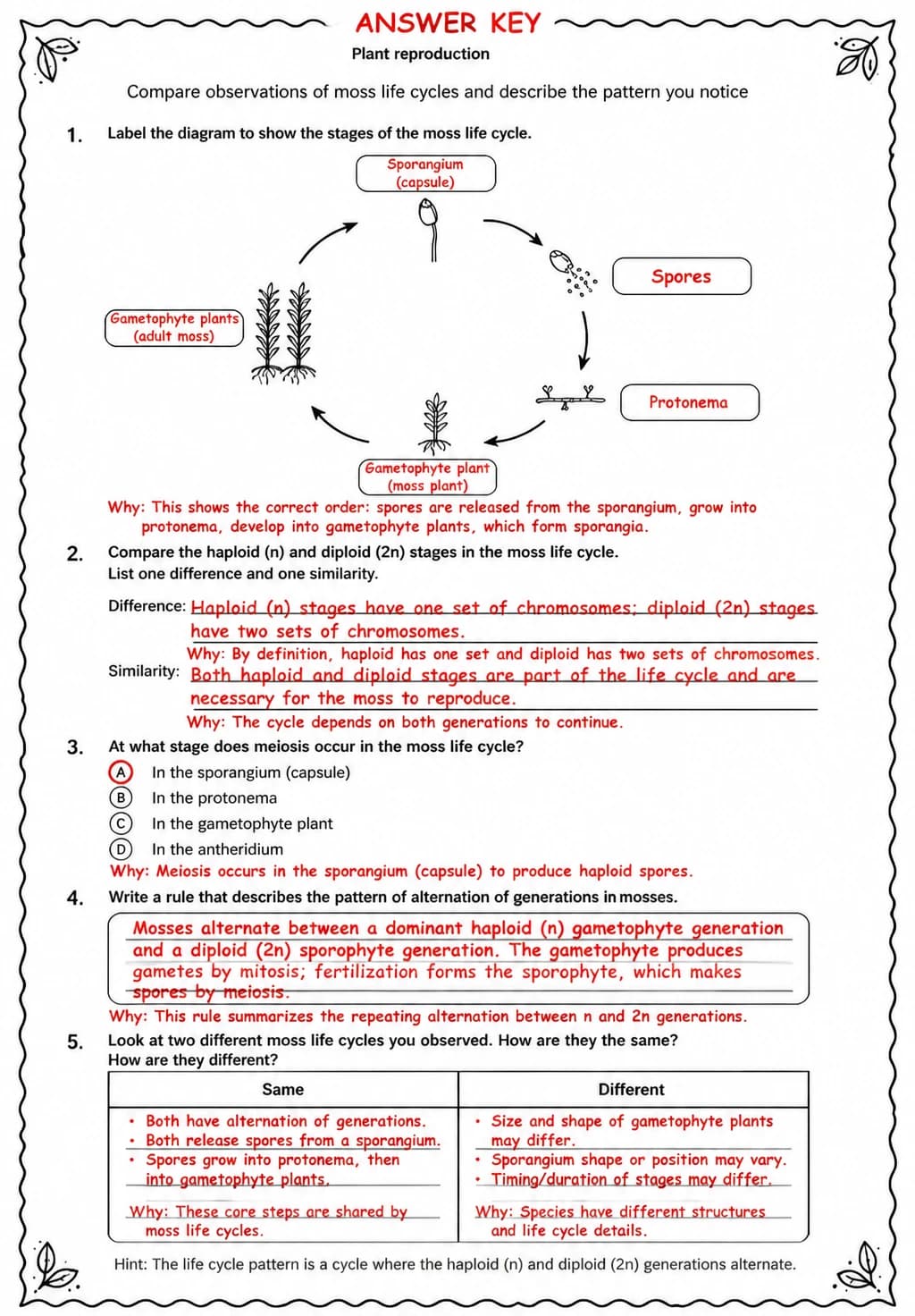 Answer key for Compare observations of moss life cycles and describe the pattern you notice — free printable Science worksheet