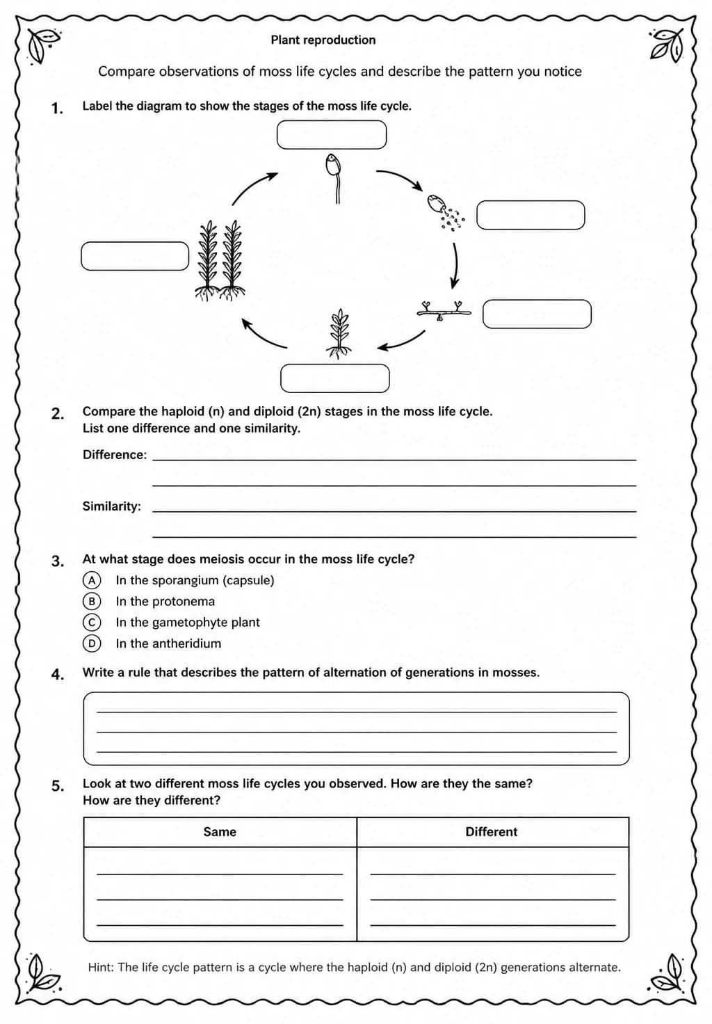 Compare observations of moss life cycles and describe the pattern you notice — free printable Middle School Science worksheet