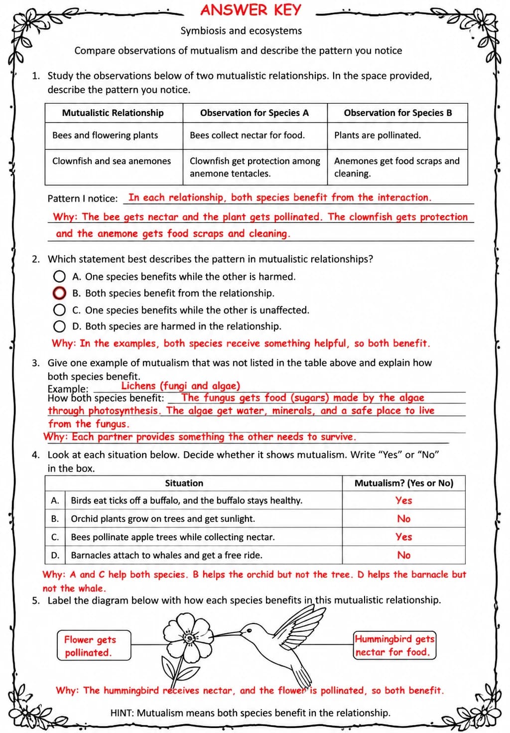 Answer key for Compare observations of mutualism and describe the pattern you notice — free printable Science worksheet