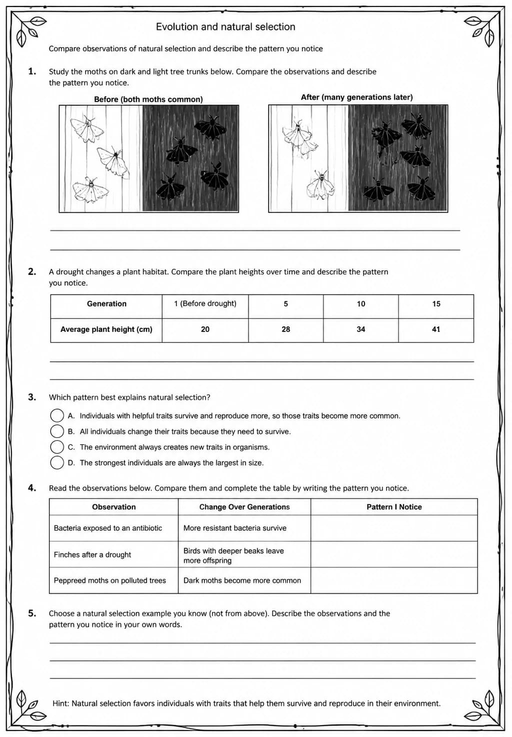 Compare observations of natural selection and describe the pattern you notice — free printable Middle School Science worksheet