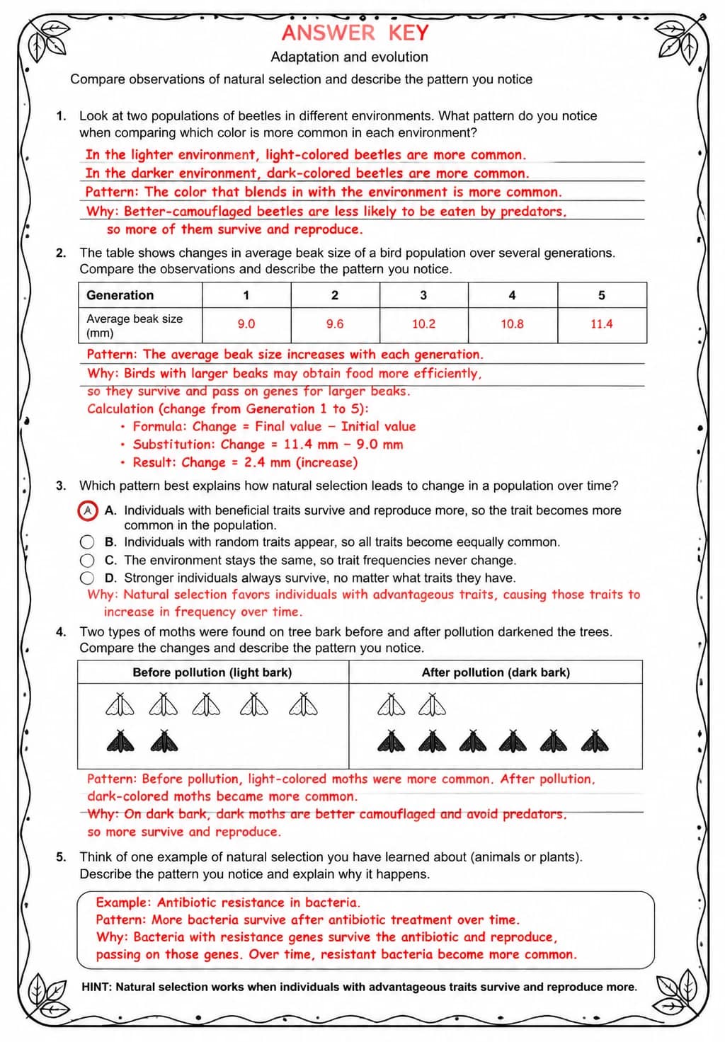 Answer key for Compare observations of natural selection and describe the pattern you notice — free printable Science worksheet