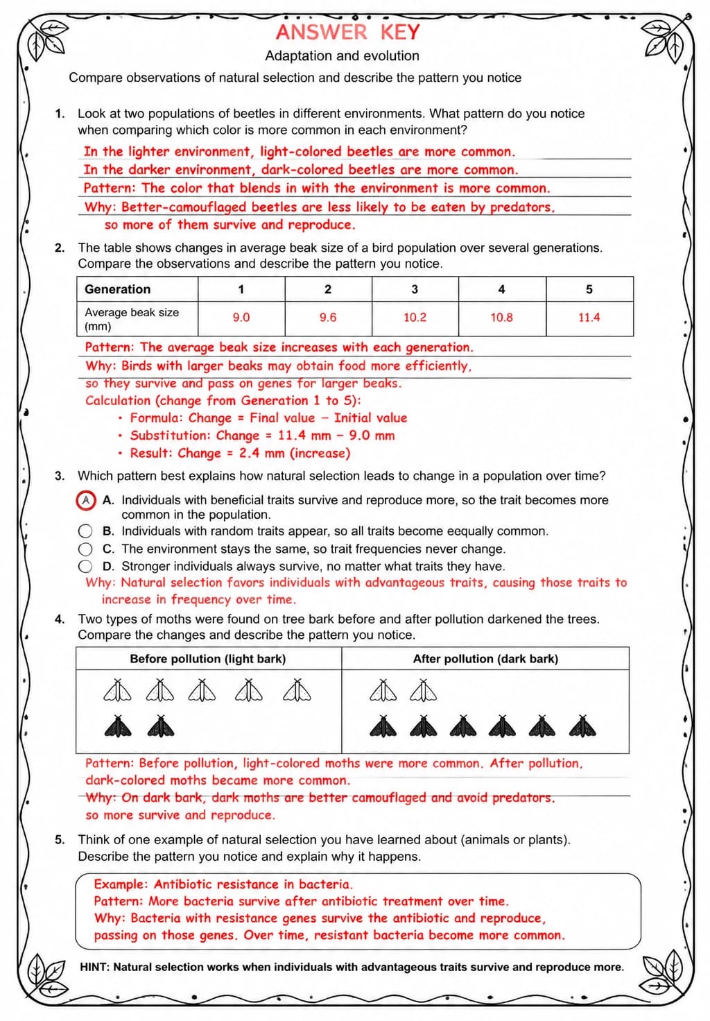 Answer key for Compare observations of natural selection and describe the pattern you notice — free printable Science worksheet