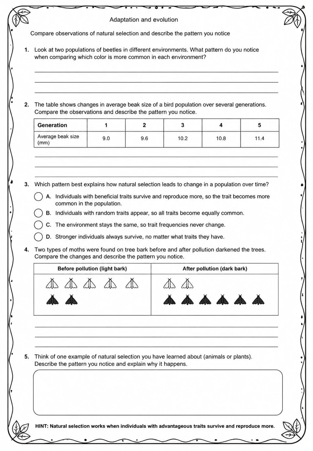Compare observations of natural selection and describe the pattern you notice — free printable Middle School Science worksheet