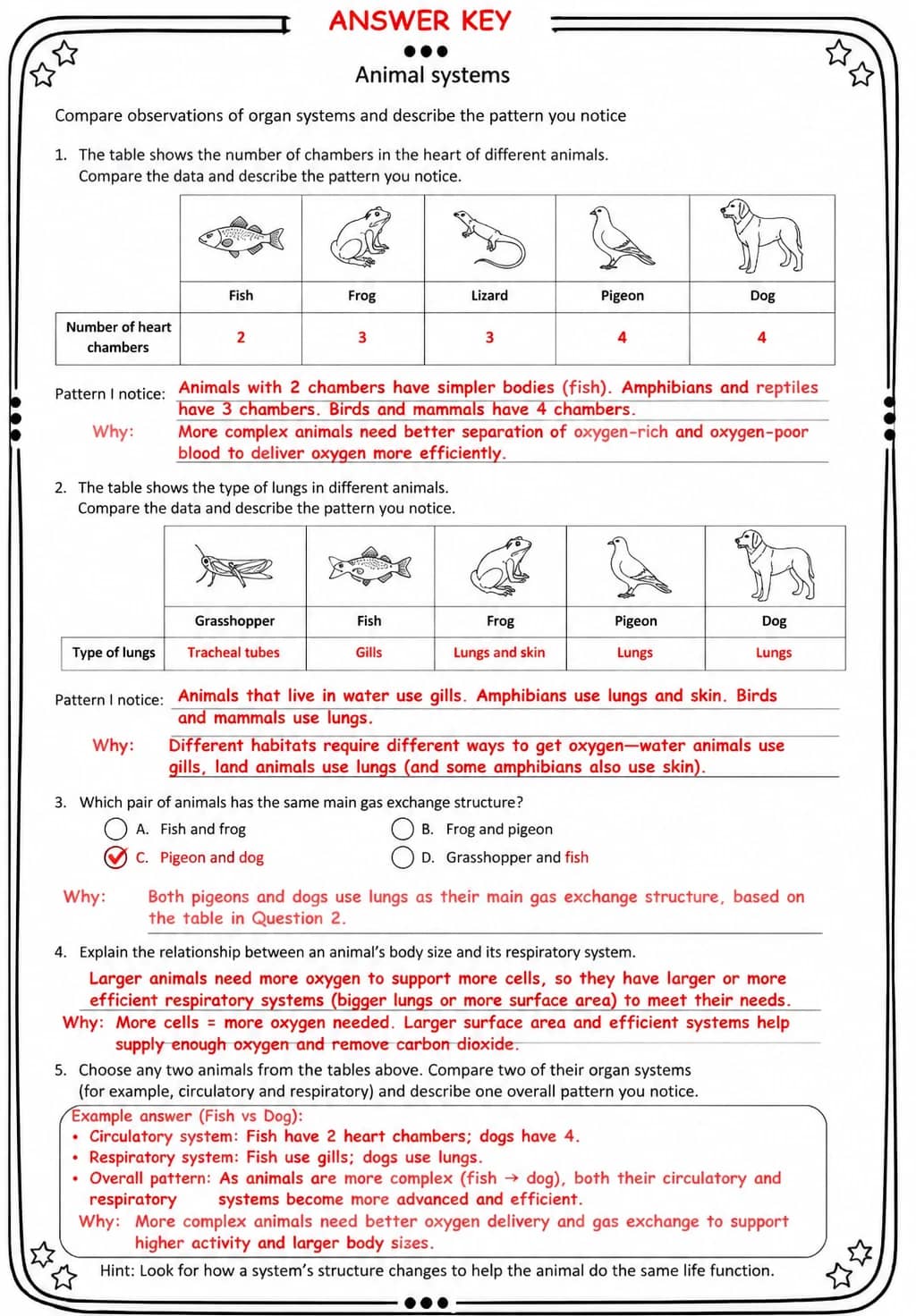 Answer key for Compare observations of organ systems and describe the pattern you notice — free printable Science worksheet