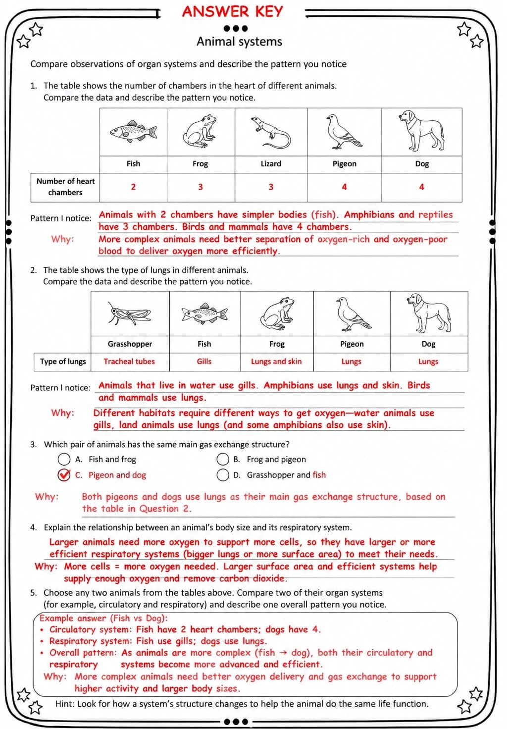 Answer key for Compare observations of organ systems and describe the pattern you notice — free printable Science worksheet