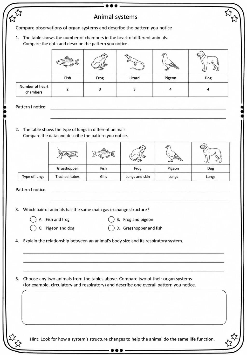 Compare observations of organ systems and describe the pattern you notice — free printable Middle School Science worksheet