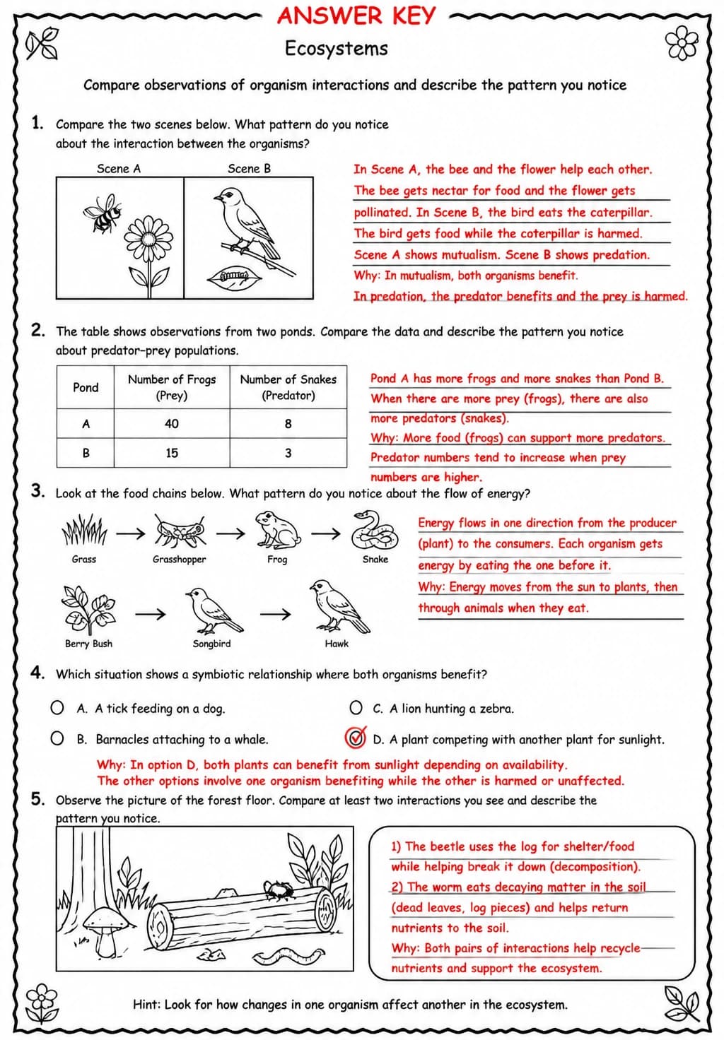 Answer key for Compare observations of organism interactions and describe the pattern you notice — free printable Science worksheet