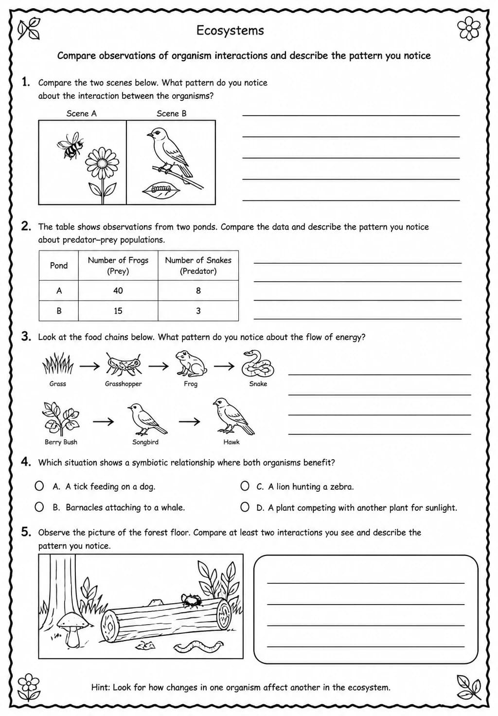 Compare observations of organism interactions and describe the pattern you notice — free printable Grade 5 Science worksheet