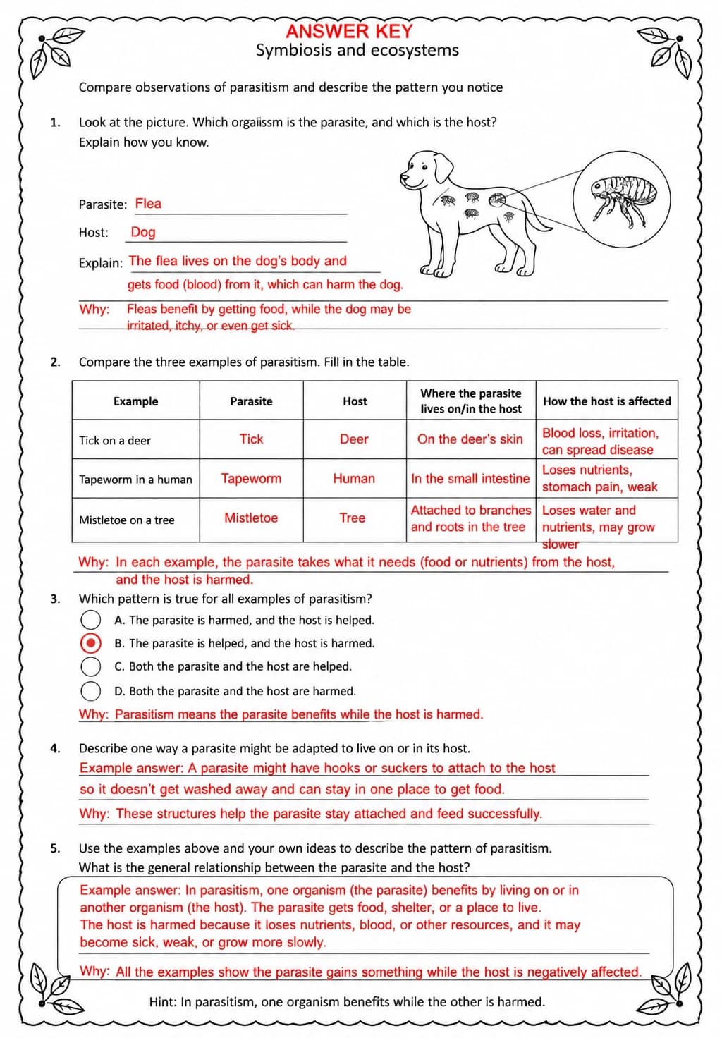 Answer key for Compare observations of parasitism and describe the pattern you notice — free printable Science worksheet