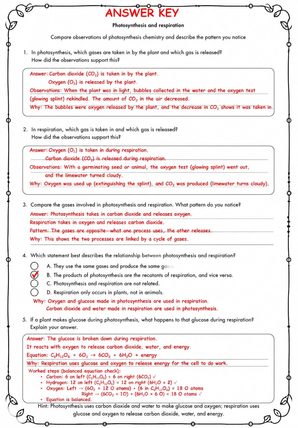 Answer key for Compare observations of photosynthesis chemistry and describe the pattern you notice — free printable Science worksheet