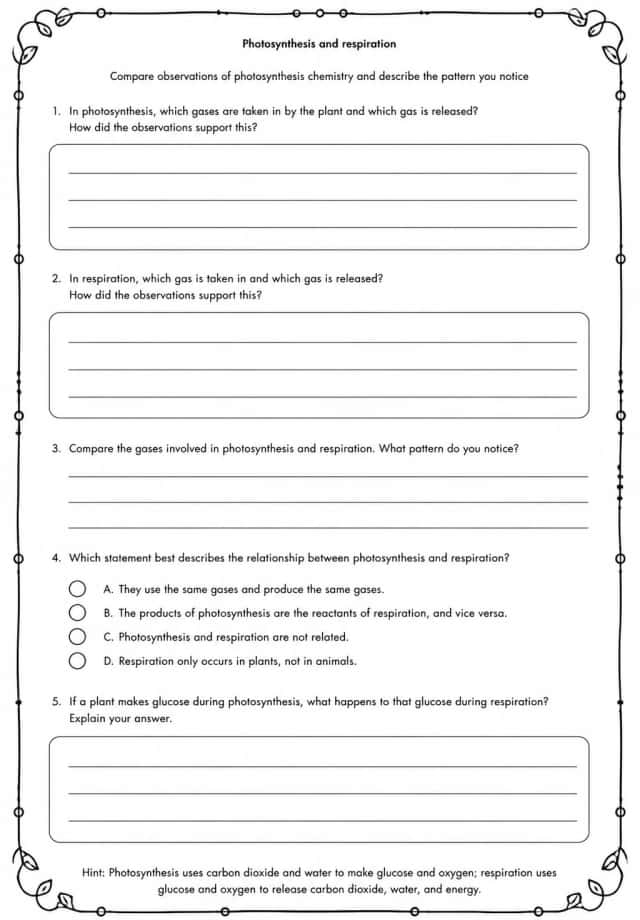 Compare observations of photosynthesis chemistry and describe the pattern you notice