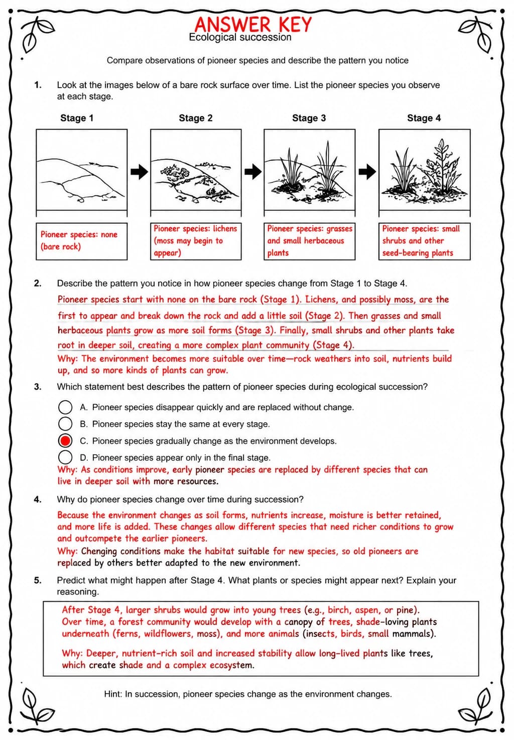 Answer key for Compare observations of pioneer species and describe the pattern you notice — free printable Science worksheet